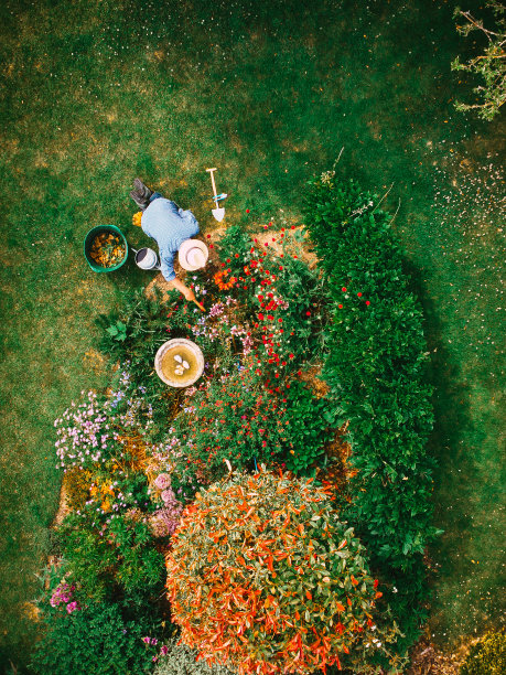 花园中人工浇灌花坛的高角度视图图片下载