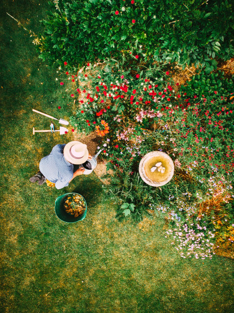 花园中人工浇灌花坛的高角度视图图片下载