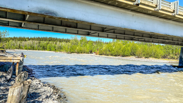 沙滩上的驼鹿脚印图片下载