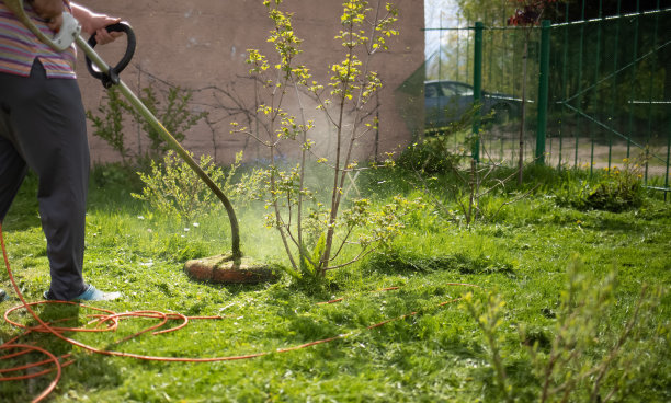 老妇人在用修剪机割草图片下载
