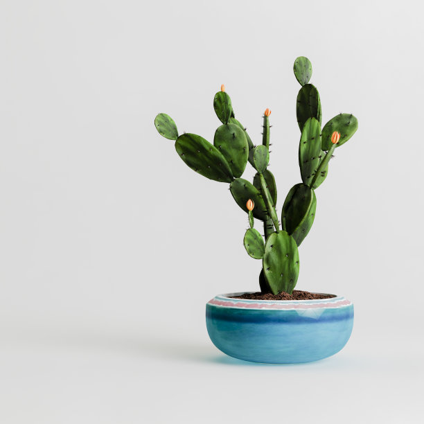 室内盆栽孤立在白色背景的3d插图图片下载