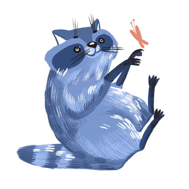 白色背景的浣熊。图片下载