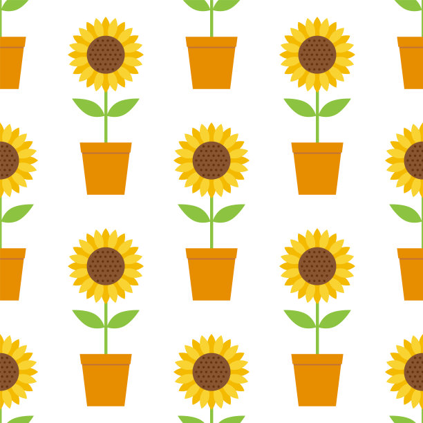 无缝模式向日葵花盆在白色背景矢量插图。图片下载