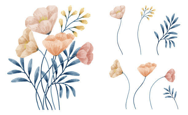 一套为设计师创作的水彩画花卉图片下载