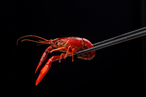 辣小龙虾小龙虾食物中餐甲壳纲红色小龙虾图片下载