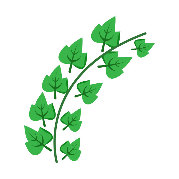 葡萄藤半平面颜色矢量对象图片下载