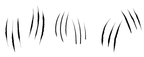 爪抓伤。黑色的动物爪。难看的东西触及爪子。野生动物的概念。矢量纹理插图在白色背景。图片下载