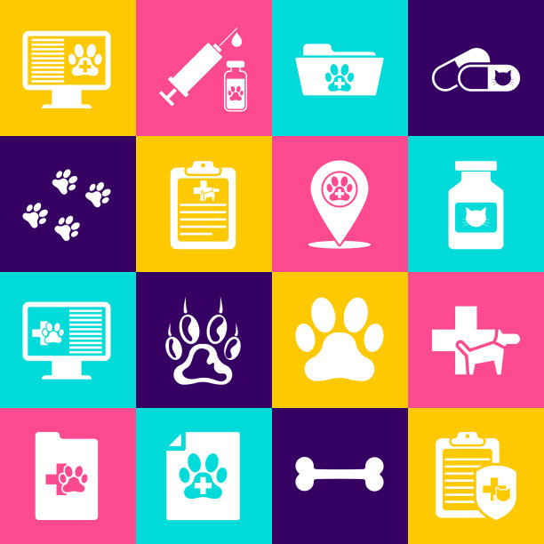 创下宠物兽医诊所猫临床记录图片下载