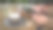 年轻的女商人坐在咖啡馆里，在平板电脑上写短信。图片下载