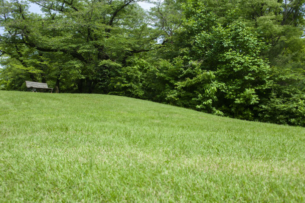 格林公园图片下载