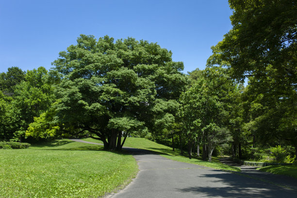 格林公园图片下载