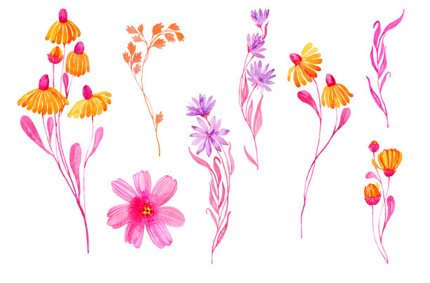 水彩野花集图片下载