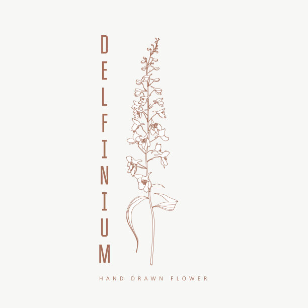 Delfunium花标志或标志模板图片下载