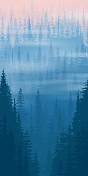 山间峡谷、峡谷，针叶林在晨雾中，垂直图片下载