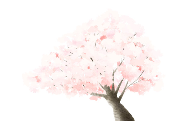 樱桃树图片下载