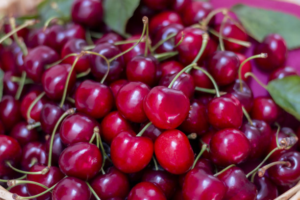 新鲜甜樱桃装在木篮子里。图片下载