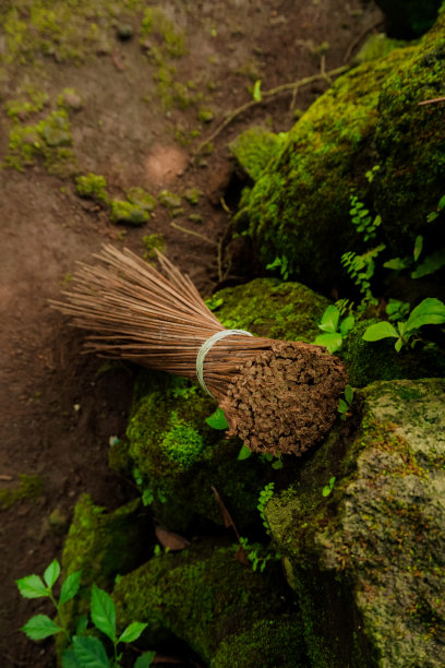 扫把棍图片下载