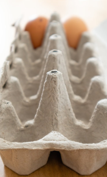 打开的鸡蛋盒图片下载