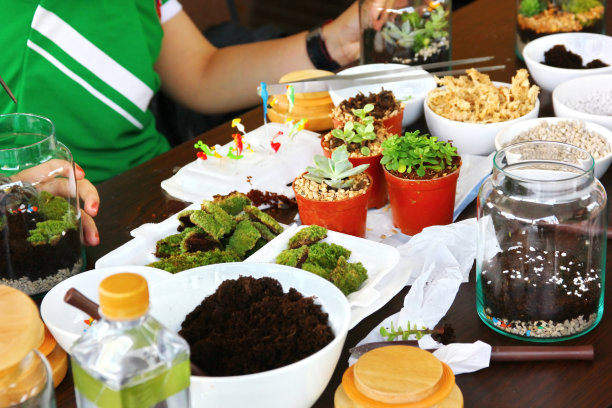 同事在空闲时间用物品配件娃娃、瓶子、砂砾树镊子来布置玻璃容器图片下载