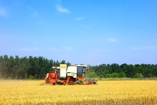 在麦田里工作的联合收割机图片下载