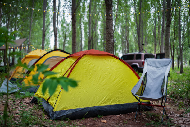 在户外森林里搭帐篷图片下载