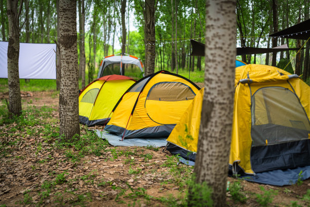 户外林地露营地图片下载