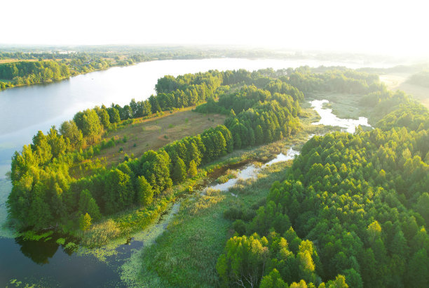 野外湖泊，鸟瞰图。夏天日出时的湖。野生动物湖的空中全景景观。图片下载