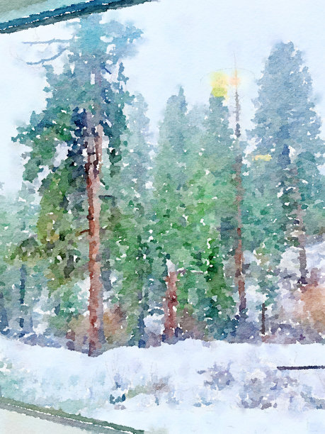 水彩松树图片下载