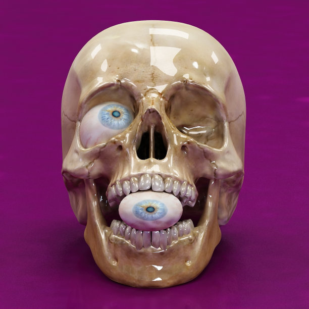 我的眼睛在哪里?头骨的3 d渲染图片下载
