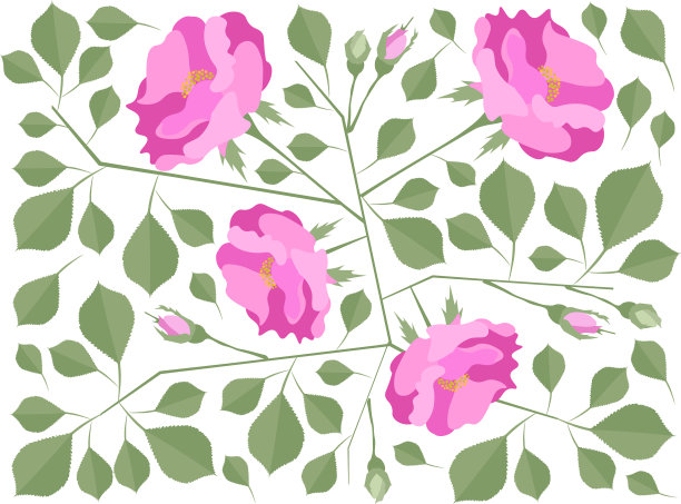 美丽的背景粉红色锦缎玫瑰花图片下载