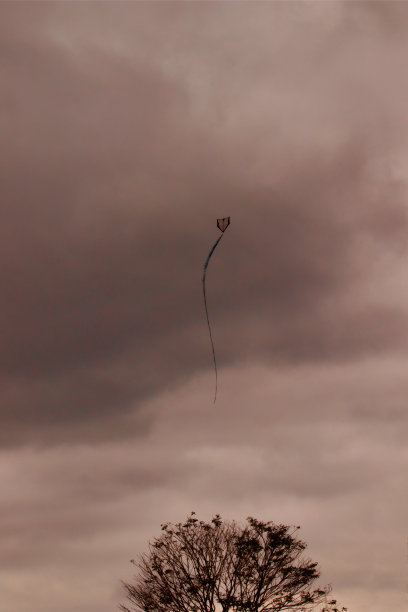 巨大的纸风筝，带着长长的尾巴，在多云的天空下飞越树梢。图片下载