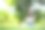 漂亮迷人的女人坐在花园里，模糊的背景。女孩抱着尤克里里吉他在阳光明媚的日子。快乐在假期。放松、香薰自由感受的生活方式图片下载