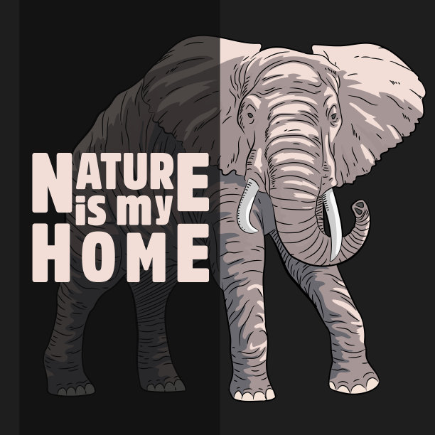 行走的大象在大自然母亲的纯色图片下载