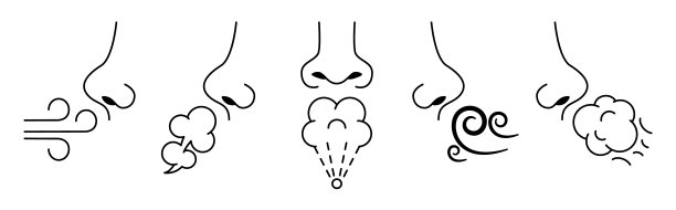 嗅嗅鼻子。嗅觉，人的呼吸和嗅觉。吸入空气和芳香矢量插图集图片下载