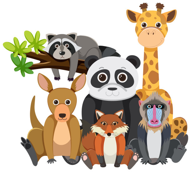 白色背景的野生动物群图片下载