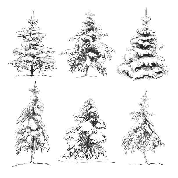 手绘松木套装图片下载