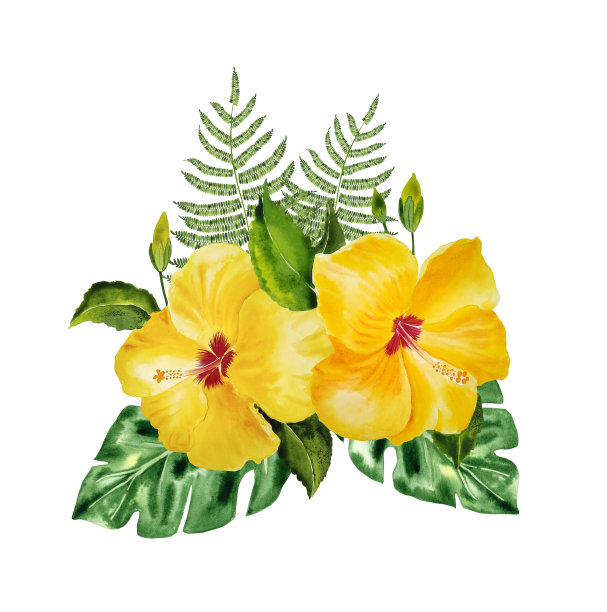 黄色的芙蓉花和热带树叶的花束。外来植物的水彩手绘插图。为明信片和设计作曲。夏威夷墙壁艺术和服装印花的位置。图片下载