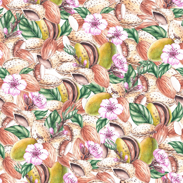 水彩图案与杏仁坚果图片下载