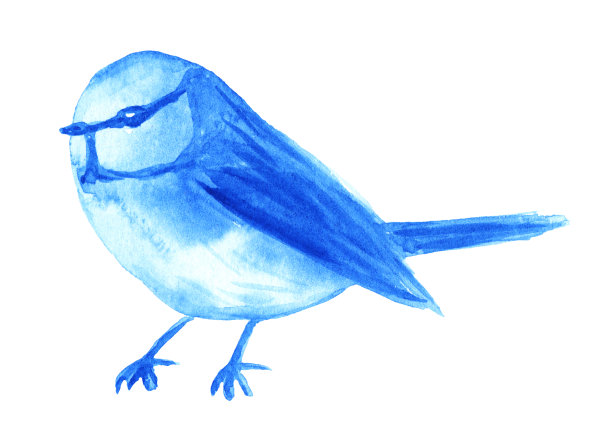 水彩蓝色鸟孤立在白色。图片下载