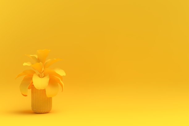 3 d盆栽植物图片下载