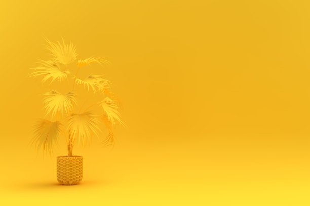 3 d盆栽植物图片下载