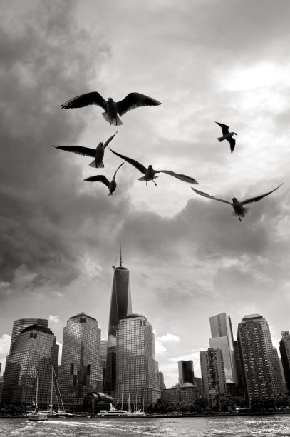 曼哈顿的摩天大楼和飞翔的海鸥在戏剧性的天空图片下载
