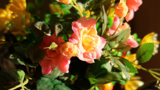 鲜艳的花束。橙玫瑰。图片下载