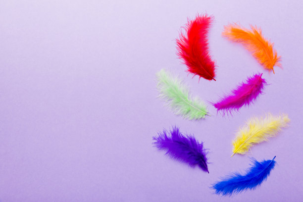 色彩鲜艳的背景染色鸟羽毛彩色背景，俯视图。本空间图片下载