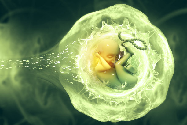 人类胎儿的科学背景。三维演示图片下载