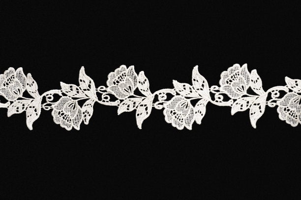 白色花边与花和叶子在黑色背景孤立水平复制空间图片下载
