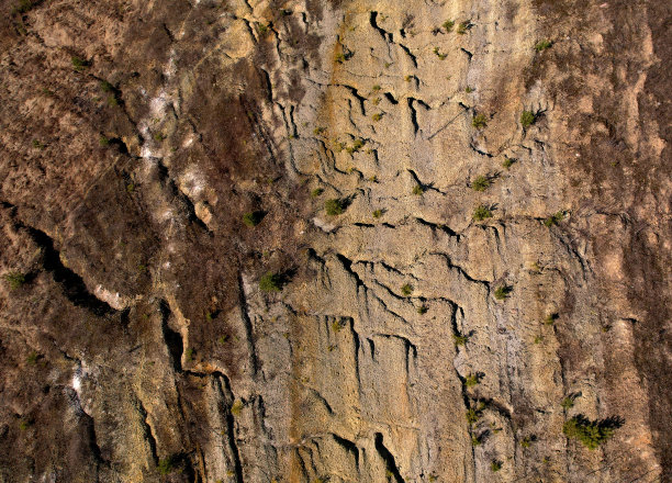 土壤土壤背景，俯视图。裂缝的地表。干燥土地的土地结构图片下载