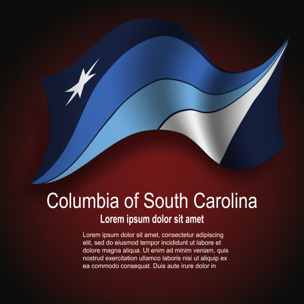 美国南卡罗莱纳的哥伦比亚旗飘扬图片下载