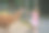 金发学龄前欧洲女孩喂养毛茸茸的羊驼喇嘛。在野生动物园里，一个快乐兴奋的孩子在喂瓜纳科动物。假期或周末的家庭休闲活动图片下载