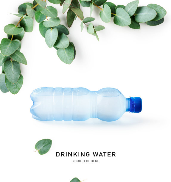 用塑料瓶和桉树叶装的饮用水图片下载